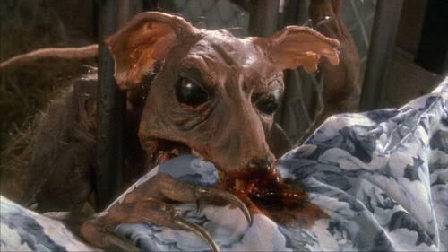 群尸玩过界在线观看,惊悚狂欢，生死边缘的极限挑战  第3张